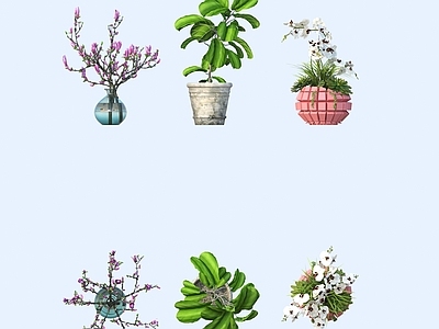 盆栽 花卉 花艺摆件