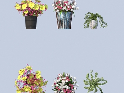 盆栽 花卉 花艺摆件