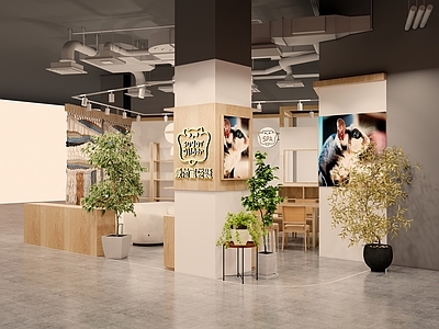 现代宠物店 蜜袋鼯 宠物店 体验店 宠物