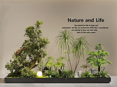 植物堆 植物景观 植物组合 庭院景观 室内景观