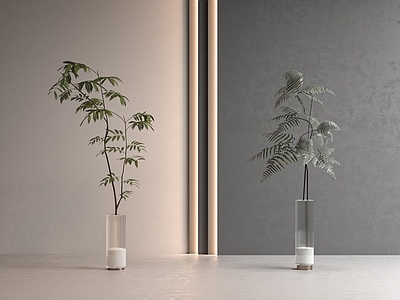 水生植物 水生植物 绿植 花瓶