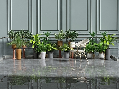 现代佛龛 现代盆栽植物