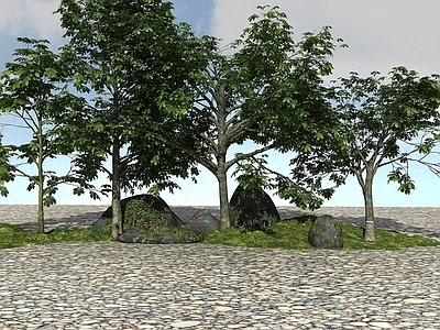 现代办公桌 景观植物