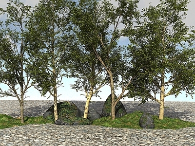 现代办公桌 景观植物