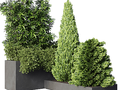 植物堆 植物堆 室外绿植 灌木