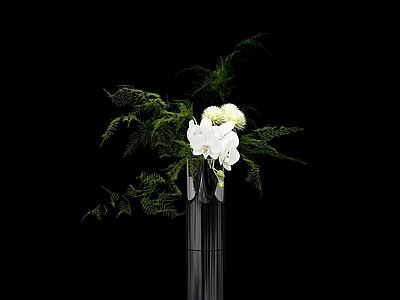 盆景 花艺 花 兰花 桌面盆栽 植物盆栽