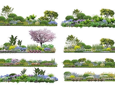 花草 花境 花坛花草 植物组团 地产花境 小区绿化组团