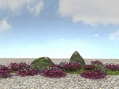 现代办公桌 景观植物