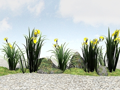 现代办公桌 景观植物