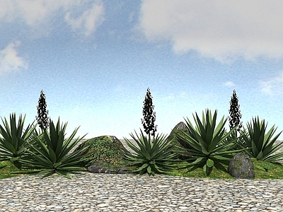 现代办公桌 景观植物