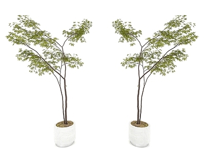 现代佛龛 现代风格植物