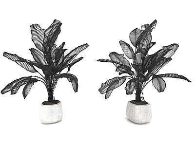 现代佛龛 现代风格植物