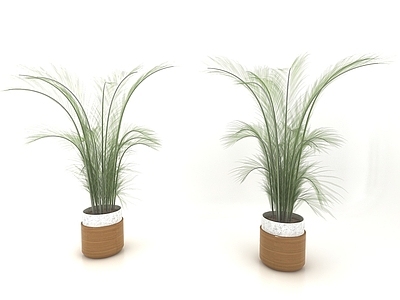 现代佛龛 现代风格植物