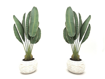 现代佛龛 现代风格植物