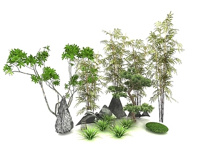 现代佛龛 现代风格植物