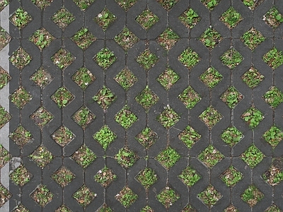 现代植草砖 户外地面 地砖 植草砖