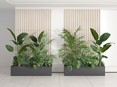 盆栽 植物堆 绿植堆 灌木 盆栽 盆景