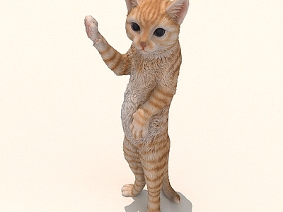 其他动物 猫