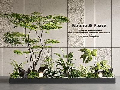 现代室内景观 景观造景 庭院景观 庭院小品 景观树 植物堆