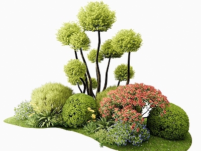 灌木 灌木球 植物堆 花境 多头女贞 花草组合