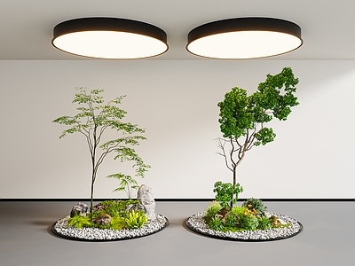 现代室内景观 植物造景 景观小品