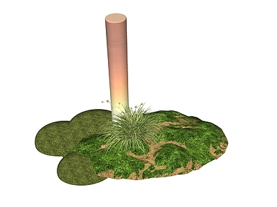 植物组合 地面苔藓