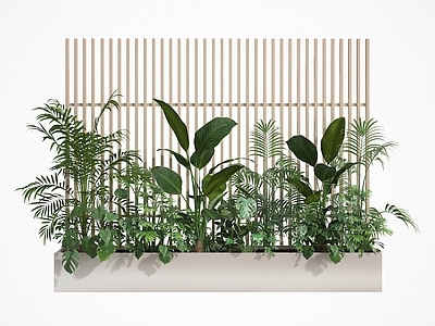 植物堆 盆栽 盆景 植物 绿植 植物组合