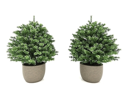 现代佛龛 植物景观小品