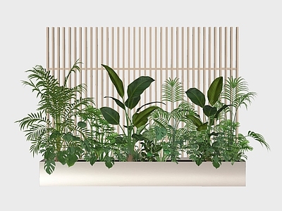 植物组合 植物堆 绿植堆 植物 绿植 灌木
