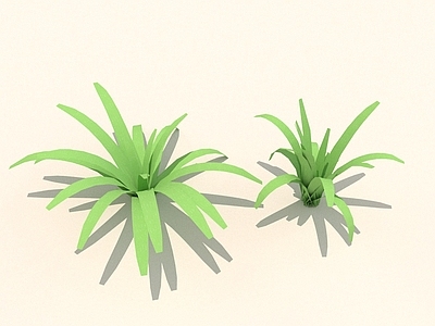 其他绿植 小草