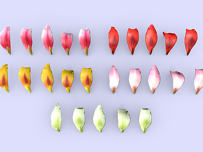 花 百合花花瓣 花瓣 卡通花瓣 花