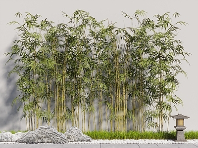 竹子 新中式竹子景观
