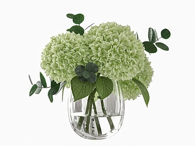 水生植物 植物花