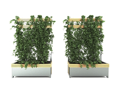 现代佛龛 现代风格植物