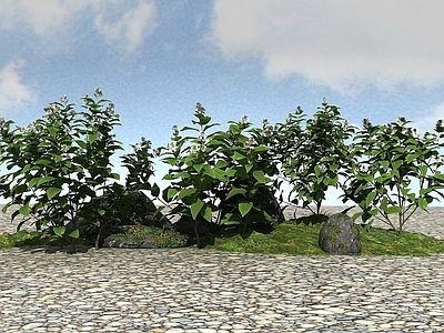 现代办公桌 景观植物茉莉