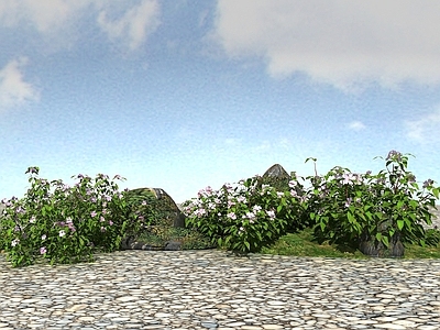 现代办公桌 景观植物野牡丹