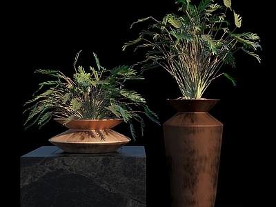 现代佛龛 现代热带雨林植物盆栽
