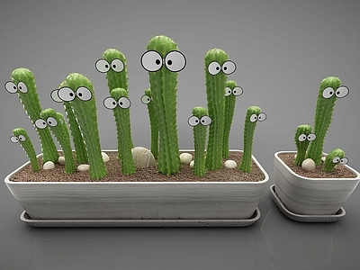现代绿色仙人掌植物盆栽