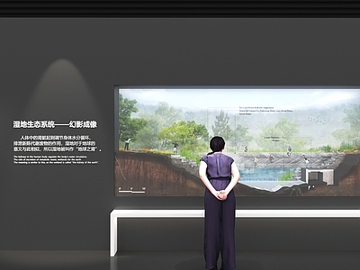 现代文化展厅 湿地生态系统展厅