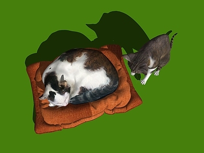 猫爬架 猫爬架