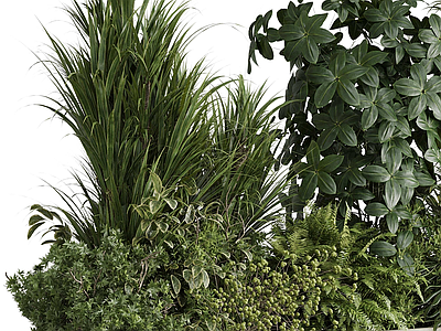 植物堆 绿植 植物堆