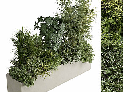 植物堆 绿植 植物堆