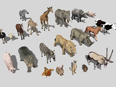 爬行动物 3D动物大全