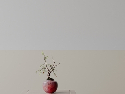 盆栽 现代盆栽