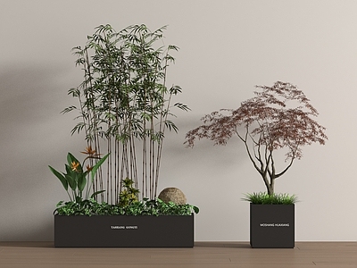 花箱 花箱 花池 植物造景 植物组合