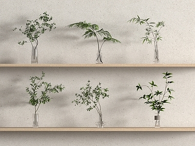 水生植物