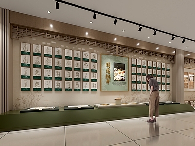 新中式中式博物馆 中医 道医文化展