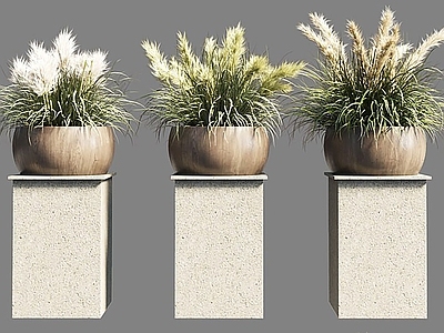 盆栽 盆栽组合