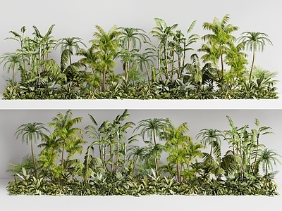 植物组合 植物组合 热带植物 景观植物组团 庭院植物 绿植灌木地被组合