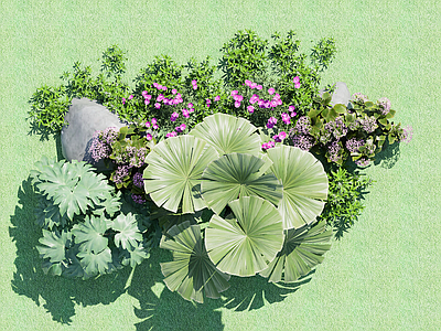 花草 花境 花坛花草 盆栽花草